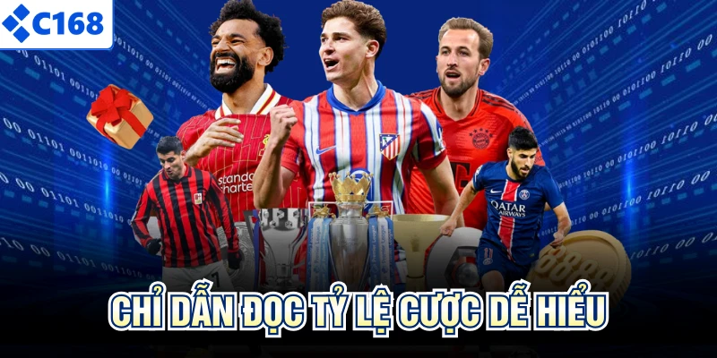 Chỉ dẫn đọc tỷ lệ cược dễ hiểu