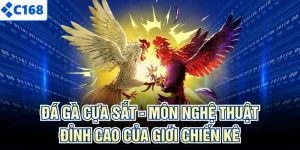 Đá Gà Cựa Sắt - Môn Nghệ Thuật Đỉnh Cao Của Giới Chiến Kê