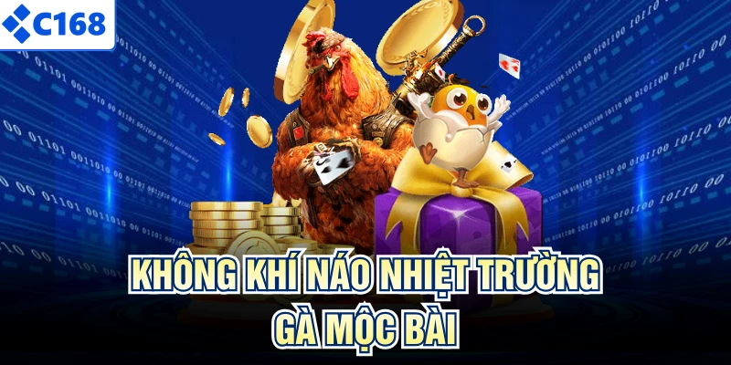 Không khí náo nhiệt trường gà Mộc Bài Tây Ninh