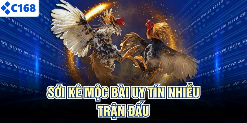 Sới kê Mộc Bài uy tín nhiều trận đấu