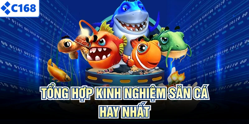 Tổng hợp kinh nghiệm săn cá hay nhất