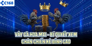 Vảy Gà Hoa Mai - Bí Quyết Xem Chân Chiến Kê Đỉnh Cao